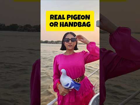 Is that a pet pigeon or a bag? Billionaire girl breaks the internet#luxurylifestyle#viralshort#yt