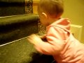 PB280003 AVI