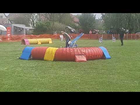 Zozika Monor kupa 2022.05.07. A2 Agility 1.hely