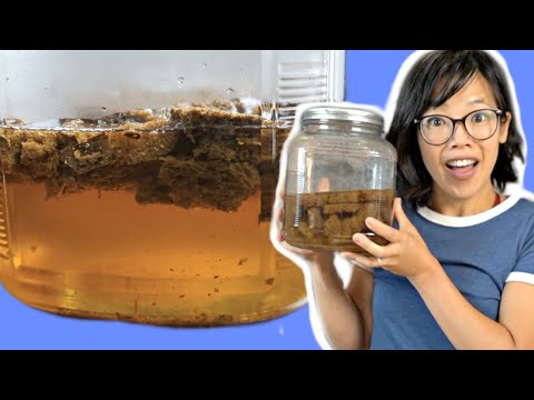 How to Make BREAD BEER -- Kvass Recipe -- brewing with bread | Fermented