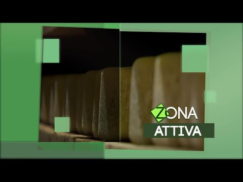 ZONATTIVA - Riva degli Etruschi
