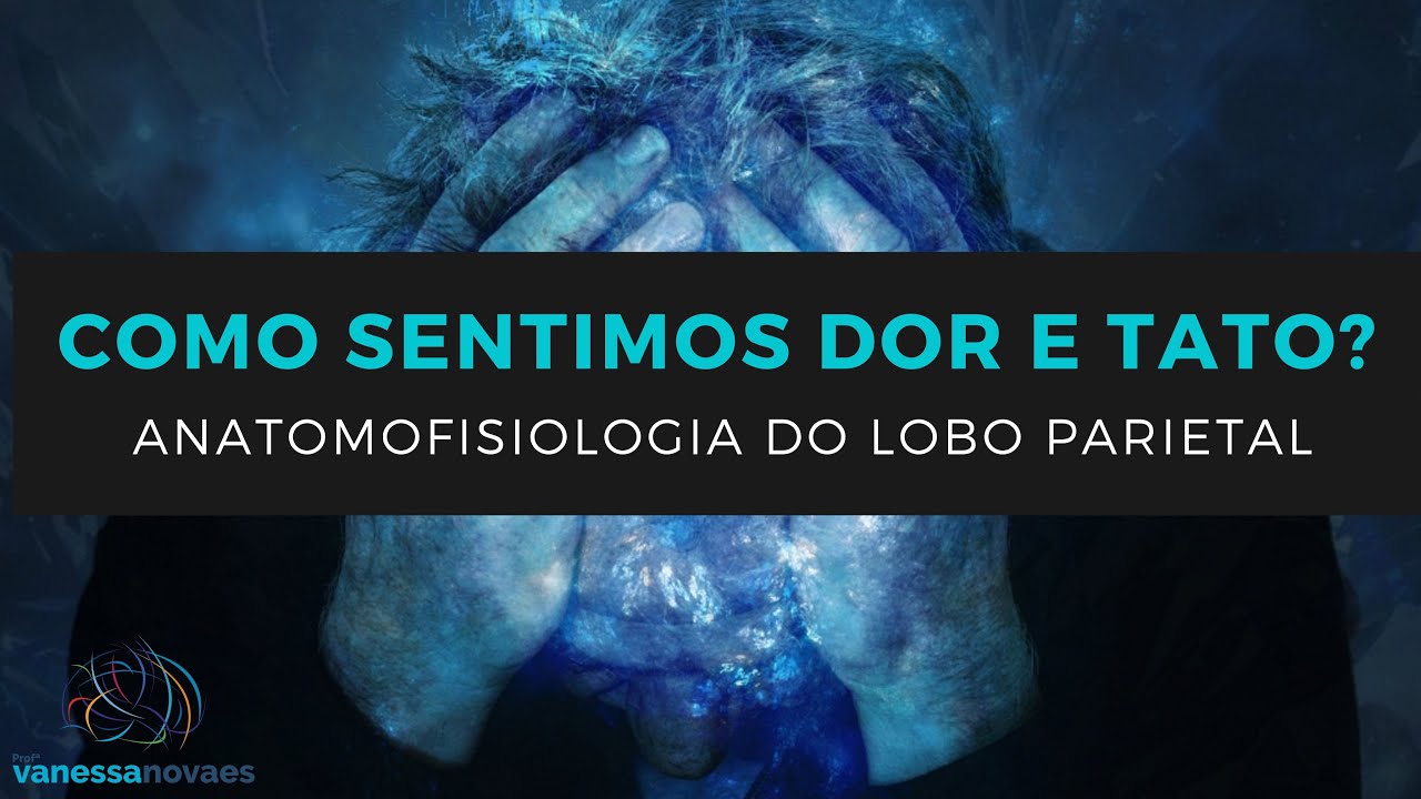 Anatomofisiologia do Lobo Parietal - Como sentimos dor e tato? - parte 1