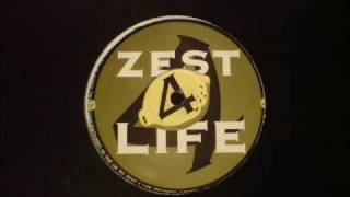 Got 2 Go (Again) - J.Sylvester - Slippin E.P - Zest 4 Life