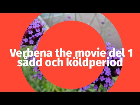 Verbena the movie del 1 - sådd