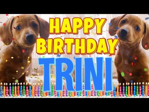Happy Birthday Trini! ( Funny Talking Dogs ) What Is Free On My Birthday