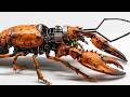 Man Turns DEAD Animals Into Mind Blowing ROBOTS Cyborg Beetle Lobster By YiZhizhu