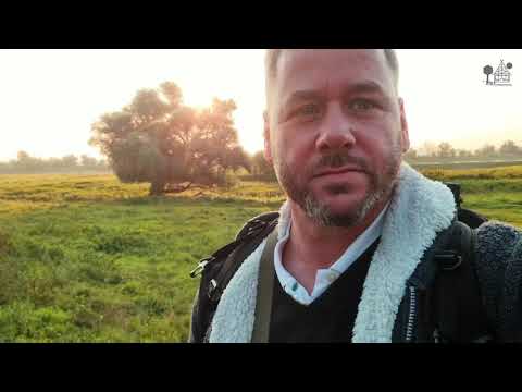 Das #Heiligtum der #Elben, das #Stonehenge der #Elbe