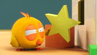 It won't fit, Chicky! | Where's Chicky? | Cartoon Collection in English for Kids | New episodes