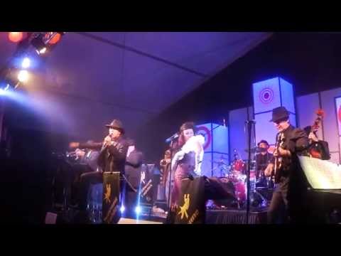 WellSwung Daddies Swing Ochestra - "Big Time Operator"