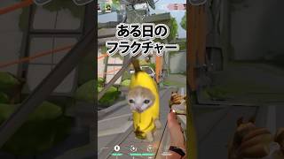【VALORANT】これはフラクチャーあるあるだよね？ 【猫ミーム】