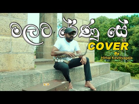 Himal Kevitiyagala - Malata Renu See (මලට රේණු සේ) | Accousit Cover Version
