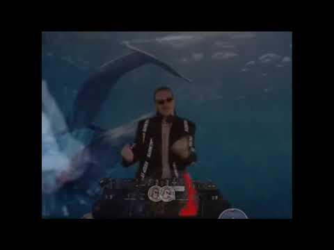 Rogal DDL - FREAKY DREAMZ x Partiboi69