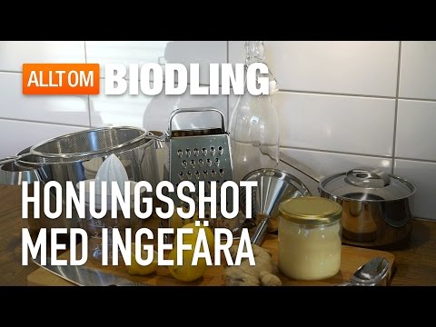 Frukostshot med honung, ingefära och citron - Honungsrecept