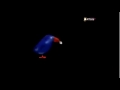 CineGroup 1997 2000