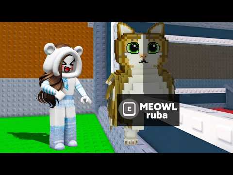 come rubare un meowl su steal a brainrot roblox!