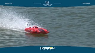 Blackjack 24-inch Brushless RTR Catamaran by Pro Boat