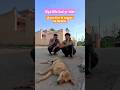 Tum Tum Tamil Song Trend Comedy Explore Tumtum Theboys Funny Ytshorts Shortsvideo