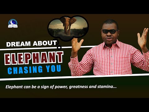 Dream About Elephant Chasing You - Meaning and Interpretations