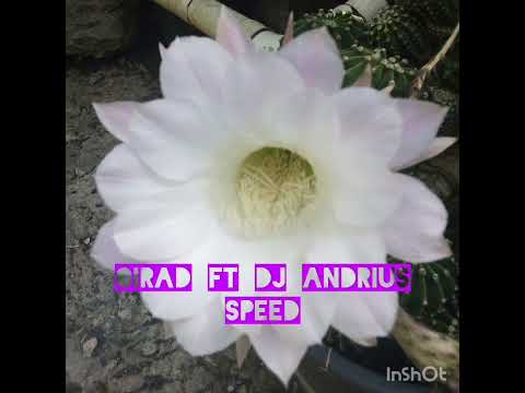 Oirad ft dj Andrius - Speed - 2022 - prima - techno
