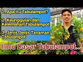 Wajib Tahu ilmu Dasar Tabulampot, Manfaat tabulampot, Tanaman Untuk Tabulampot, Tanaman Buah di Pot