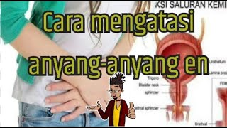 Download lagu CARA MENGATASI ANYANG ANYANGAN DENGAN CEPAT/MUDAH/AMAN mp3