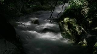 Troglodytes - The River Has A Destination