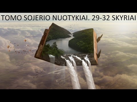 Audio Knyga - Tomo Sojerio Nuotykiai. 29-32 skyriai. Markas Tvenas.