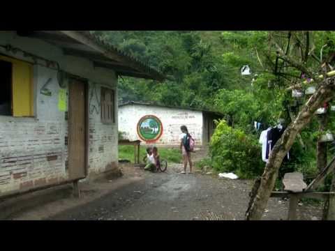 Cuando voy a la escuela / Un documental colectivo