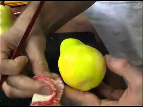 Mulher.com 28/07/2011 - Sabonete Pêra