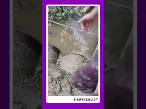 Falta de agua potable en Sagua de Tánamo tras el paso de Melissa