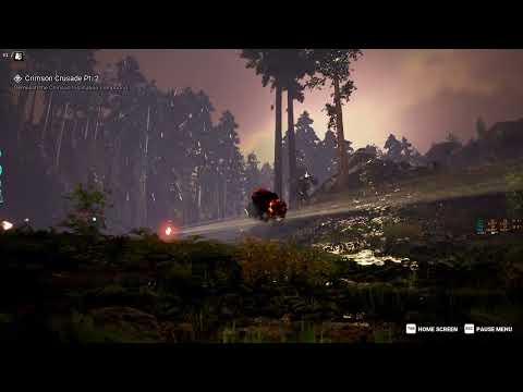 Exhibition - Old forest