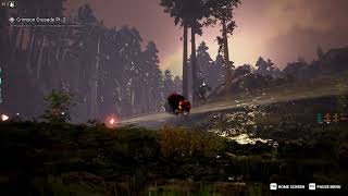 Exhibition - Old forest