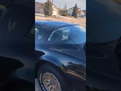 1979 Pontiac Firebird Trans Am (CC-2053019) for sale in Peyton, Colorado