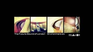 The Future Sound Of London | Symphony For Halia [fsoldigital.com 2016]