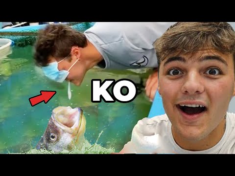 He Got Knocked Out by a Fish