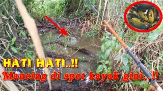 preview picture of video 'Ketemu sarang ikan, di bawah pohon Beringin..!!'