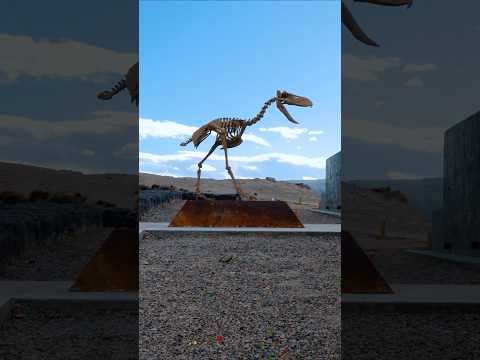 El AVE DEL TERROR más grande del mundo está en RÍO NEGRO  | Paleoparque Comallo 🦖 #paleontologia