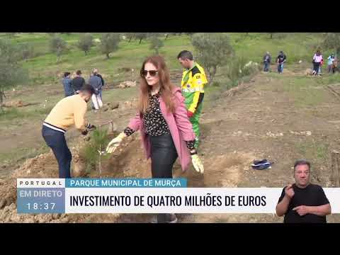 População e instituições de Murça plantaram 100 árvores no futuro “Parque do Prado”