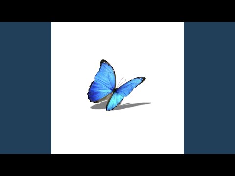 the evolution of an artist