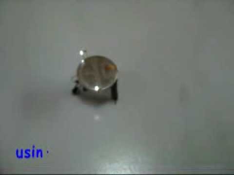 Papaya Dancing miniBOT