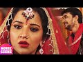 मोनालिसा के शादी में बवाल हाई वोल्टेज 