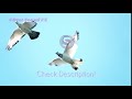 A Group Of White Pigeons Fly To The Blue Sky Slow Motion Time Lapse