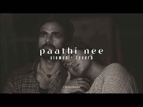 paathi nee paathi naan - nitham oru vaanam || tamil || slowed + reverb