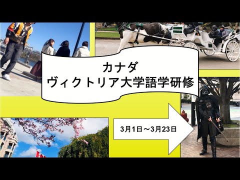 診療放射線学科 川崎医療福祉大学 国際交流 ヴィクトリア大学（カナダ）語学研修報告会・座談会