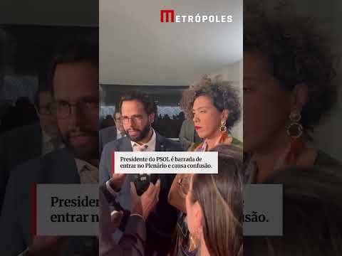 Presidente do PSOL é barrada de entrar no Plenário e causa confusão