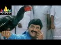 Palanati Brahmanaidu Movie Chittimallu Fight Bala Krishna Sonali Bendre Sri Balaji Video
