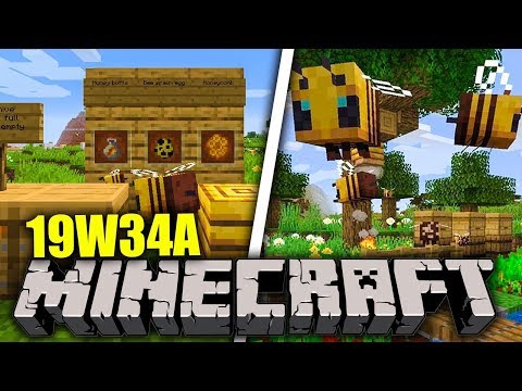CI SONO LE API IN MINECRAFT - Minecraft Snapshot 19w34a