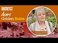 Caring For Acers Golden Rules