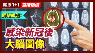 [問卦] 這一波賠了多少？