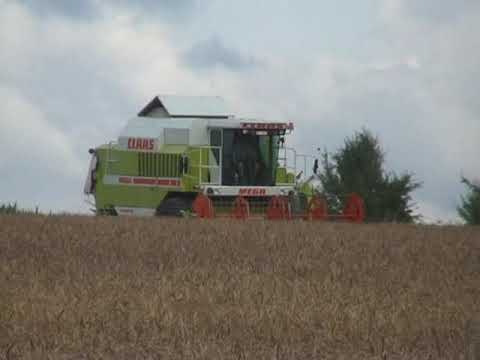 Willemyns: Maaidorsen.